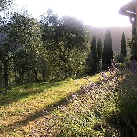 Sleeps 6 Pool Wifi T763057 * Cetinale